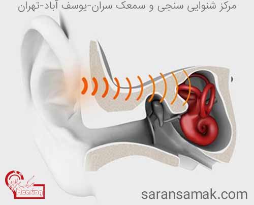 مسیراستخوانی صدا- تحریک گیرنده های شنوایی 